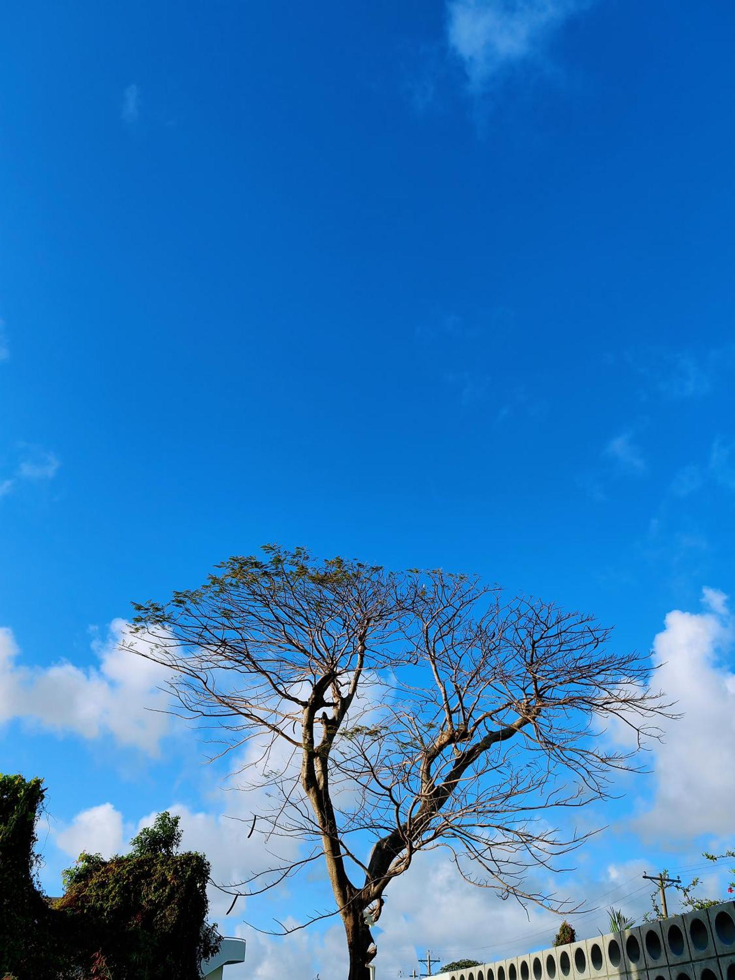 Discovery Saipan Hotel Garapan Buitenkant foto